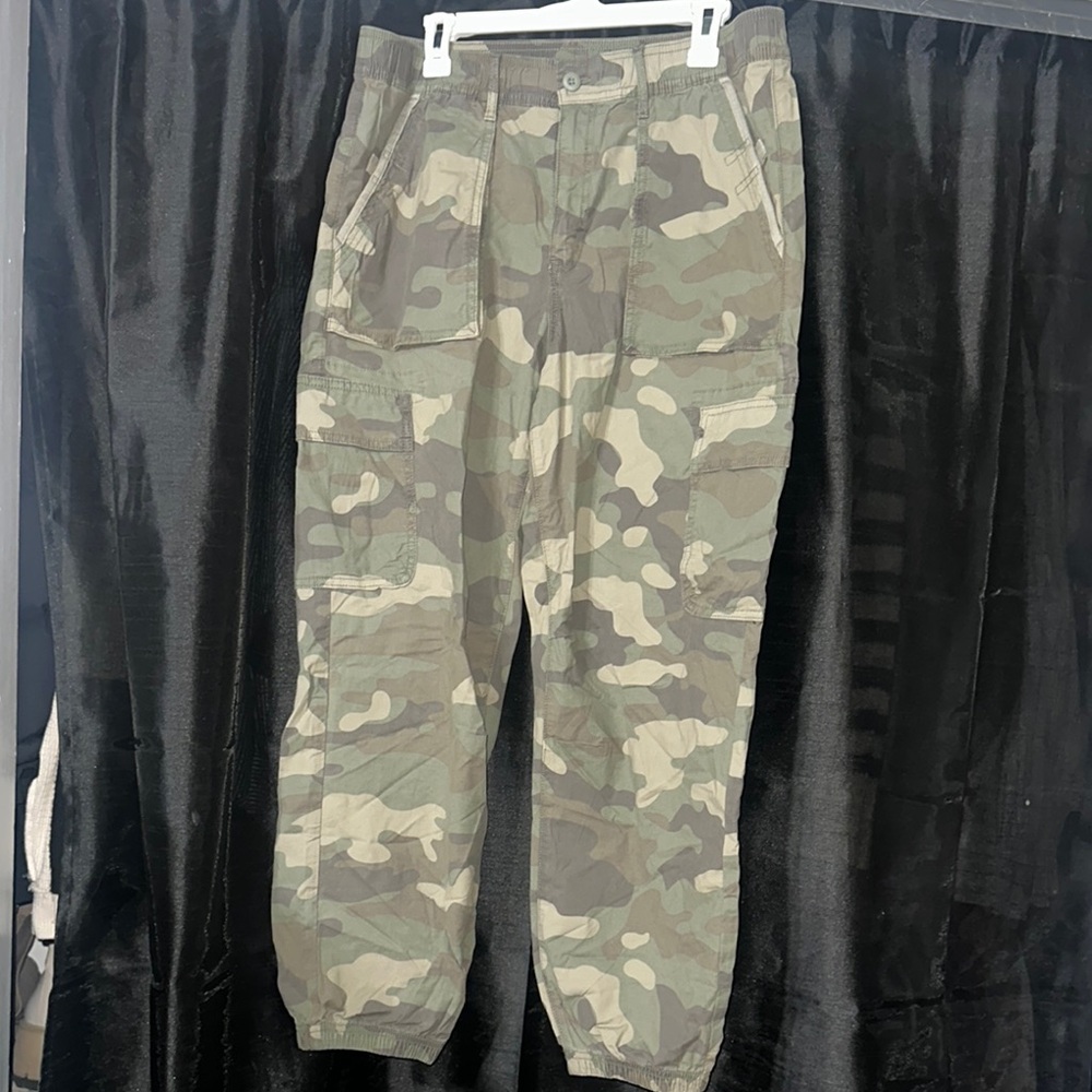 American Eagle Outfitters Green and Brown Cargo Pants